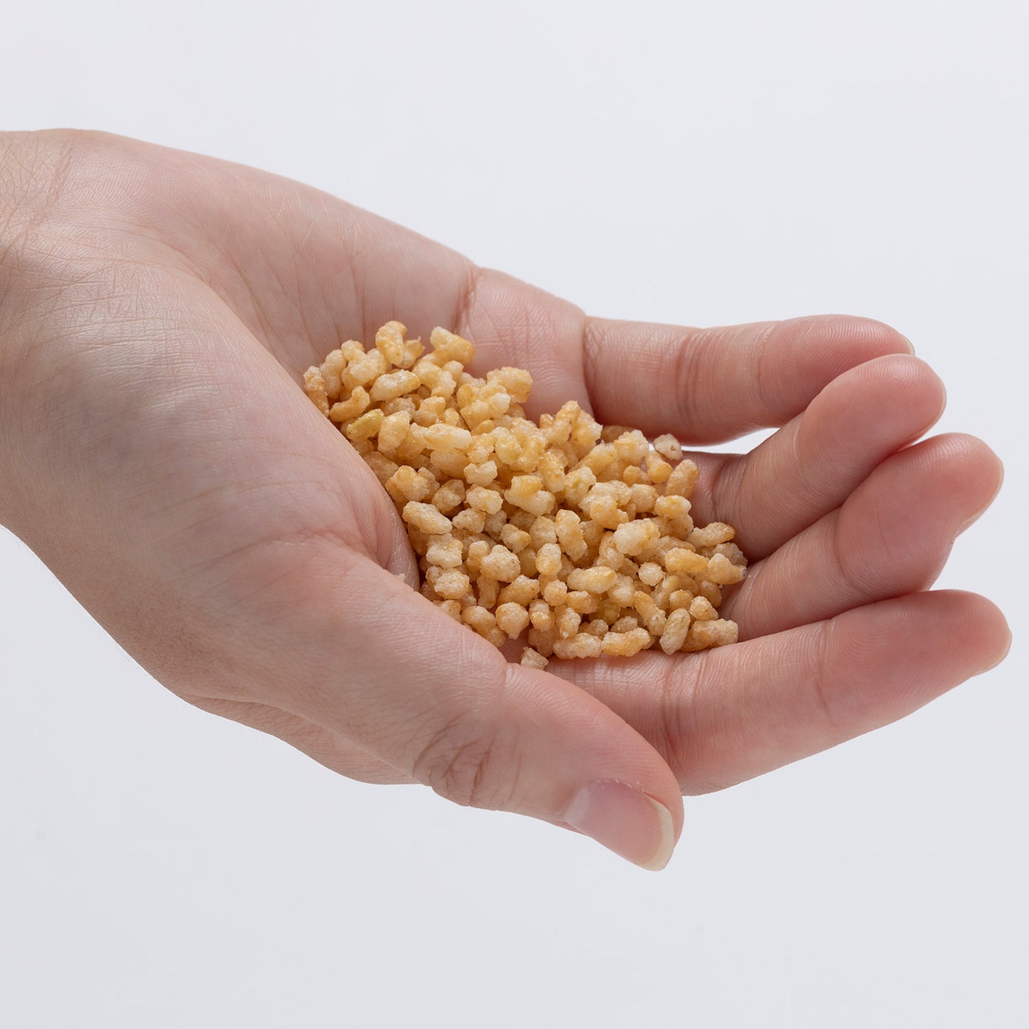 ザクザクげんまいくん/塩味